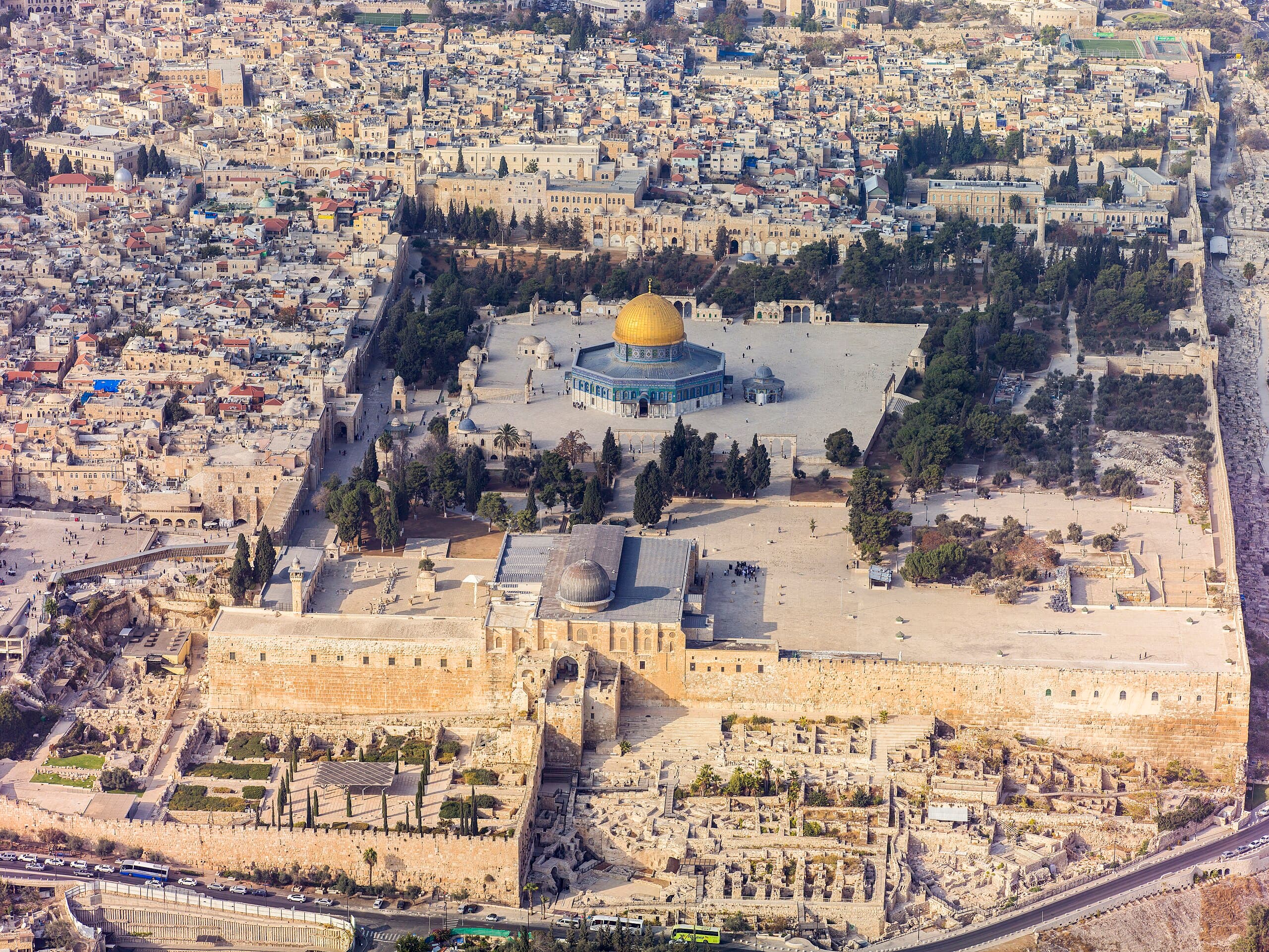 تعلم
